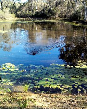 Georges Dam