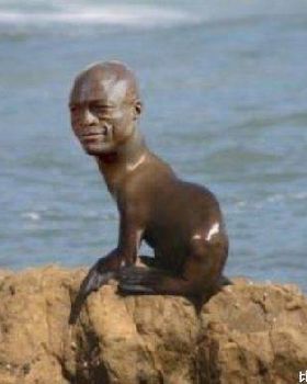 Seal