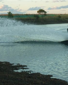 Winching on a Sunday ARVO