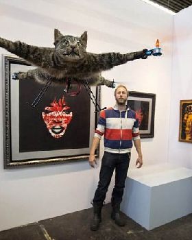 flying cat 2
