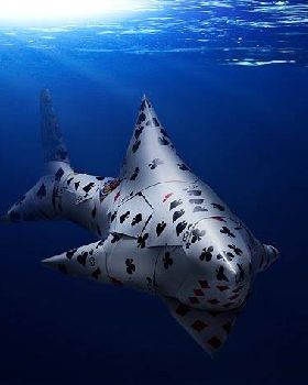 cardshark