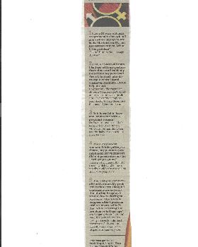 Bangalore Mirror copy