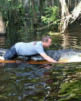 sup croc