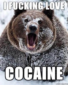 Coke Bear