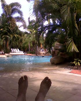 Hard at work in Darwin
