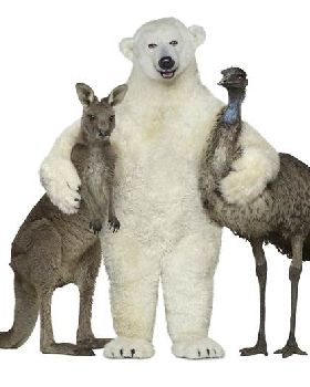 bundy bear