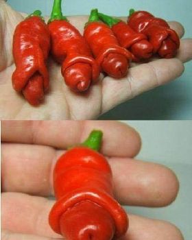 peppers