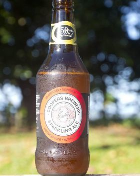 13955-Coopers Red