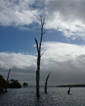 Kayaking southern-most to northern-most points of Lake Macquarie