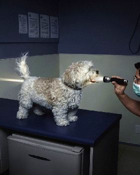 Best-top-desktop-funny-wallpapers-hd-funny-wallpaper-picture-image-19