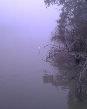 IMAG0471