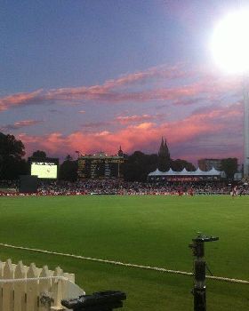night cricket