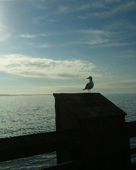 2010-11-07 08.10.16