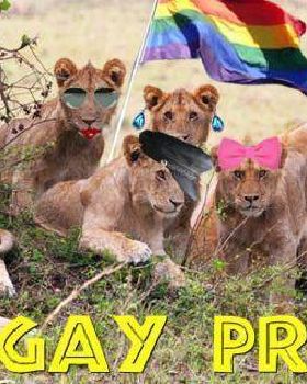 funny-puns-gay-pride large