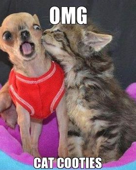 puss