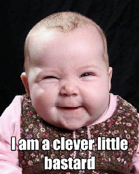 Clever Little Bastard