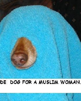 muslim guide dog