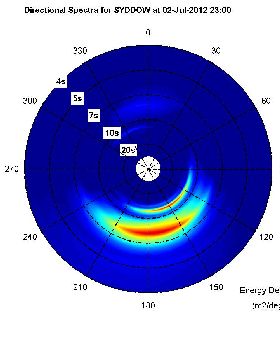 NSW directional wave plot