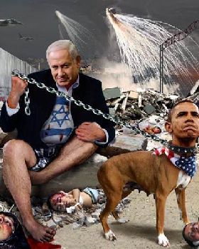 dog-dees
