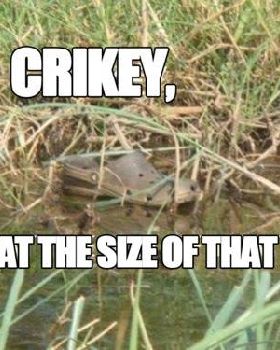 Crikey