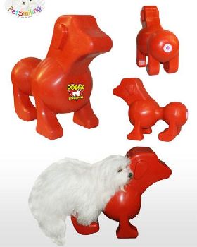 dog funny