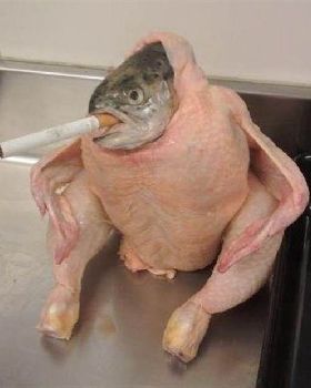 fish