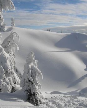 Saturday Morning Snow