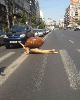 snail