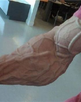 funny looking bodybuilders 1
