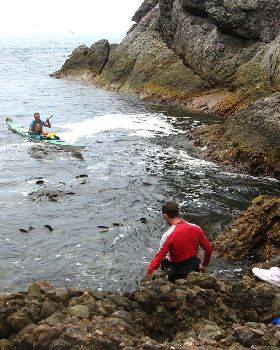 Landing 6 composite sea kayaks on Albatross Island