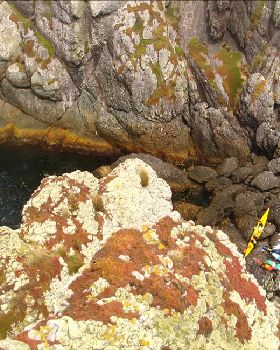 Landing 6 composite sea kayaks on Albatross Island