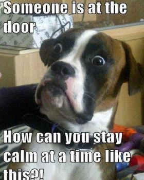 someones-at-the-door
