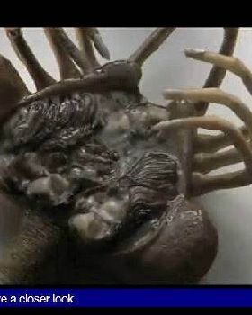 fingers 2345