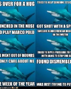 advice-animals-memes-animal-memes-introducing-misunderstood-shark