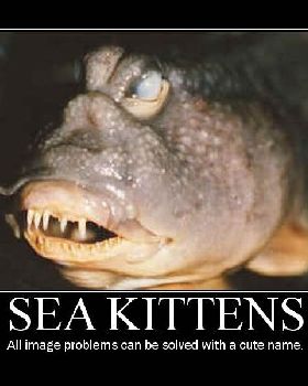 SeaKittens