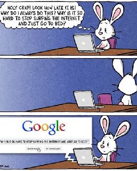 funny-bunny-google-question