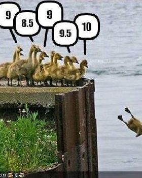 ducks