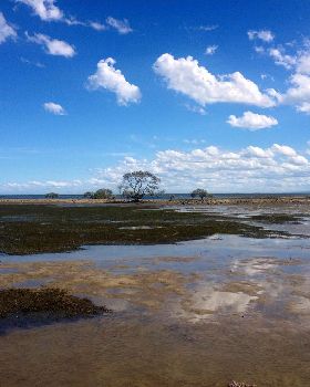 Sandstone Point low tide