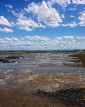Sandstone Point low tide