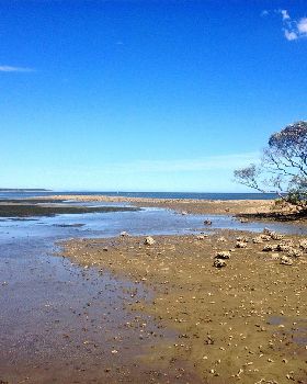 Sandstone Point low tide