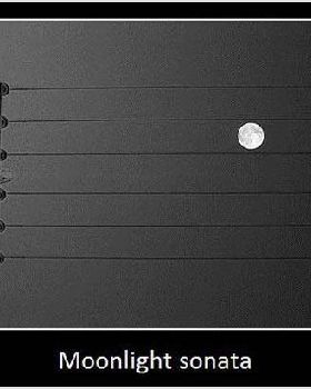 cool-night-moon-song
