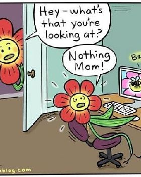 funny-flower-computer-bee