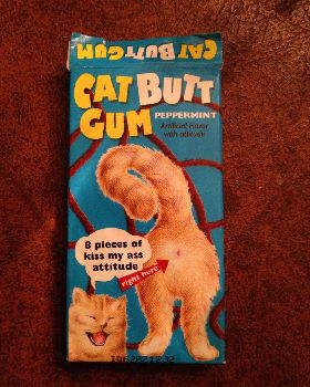 cats butt