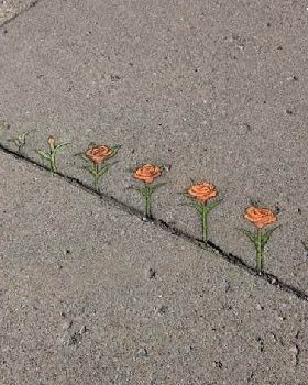 Calk-Art-by-David-Zinn-9