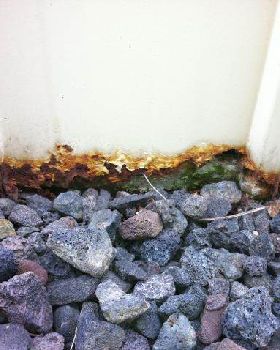 Shed Rust