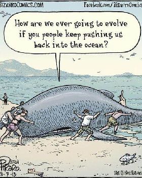 funny-comic-whale-evolution