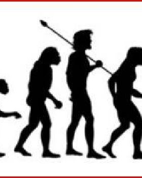 Evolution of Sheeple