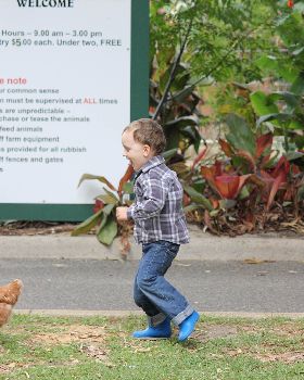 choking the chicken