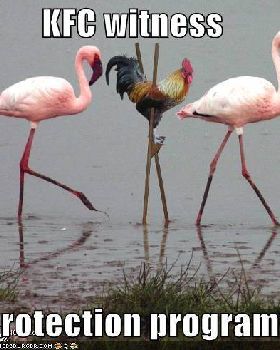 funny-pictures-kfc-chicken-stilts-flamingos