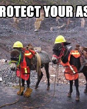 funny-donkey-work-helmet